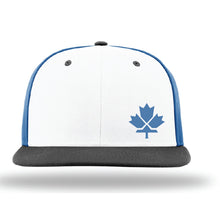 Load image into Gallery viewer, TRI-COLOR HAT